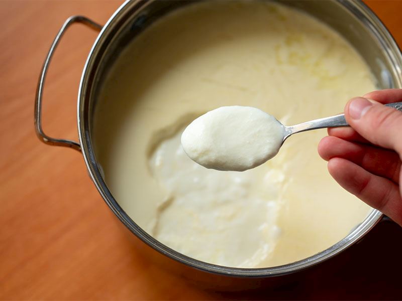 Ev Yapımı Yoğurt Neden Tutmaz?