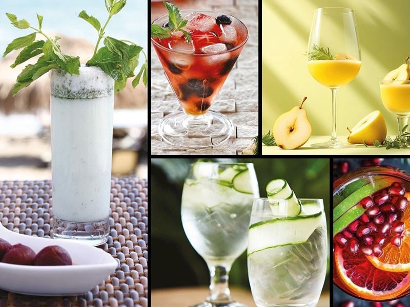 Evde Karışan Yeni Dünya