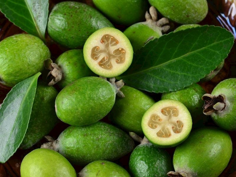 Feijoa Meyvesi Nedir, Nasıl Yenir?