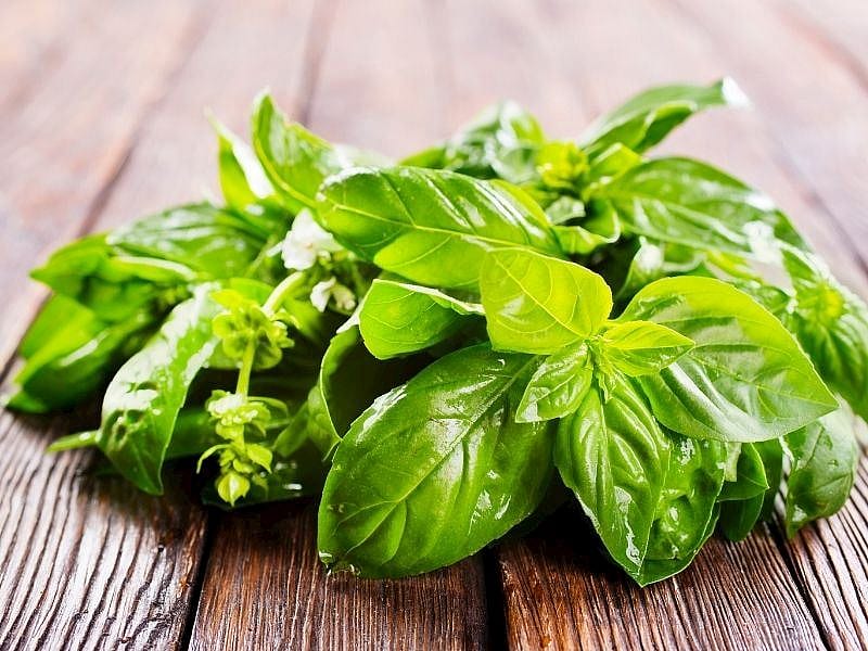 Fesleğenin Çürümesini Önleyen Basit Yöntem: Haftalarca Taze Kalıyor