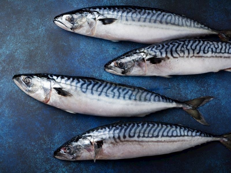 Fırında Uskumru Balığı Nasıl Pişirilir?