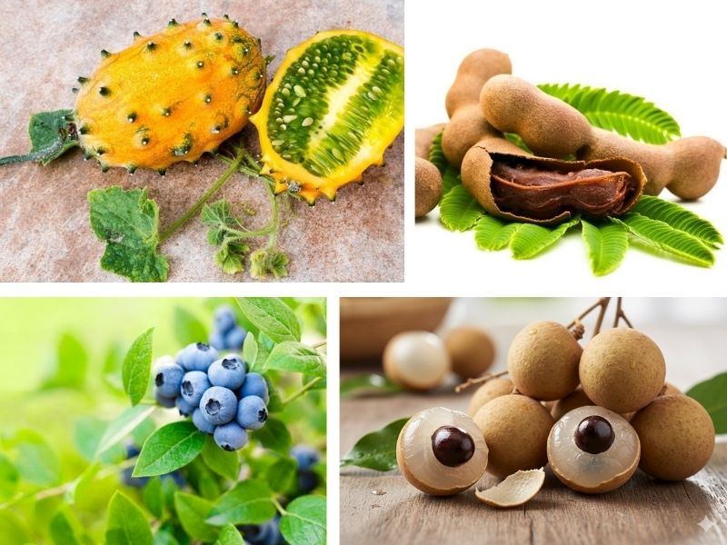 Google Trends 2025’e Göre En Çok Aranan “Nasıl Yenir?” Konuları