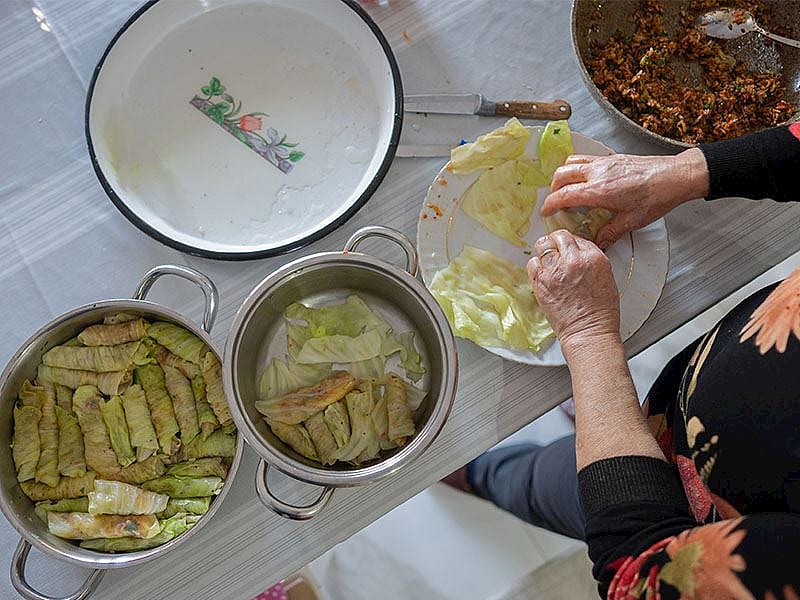 Hangi Yapraklardan Dolma Yapılır?