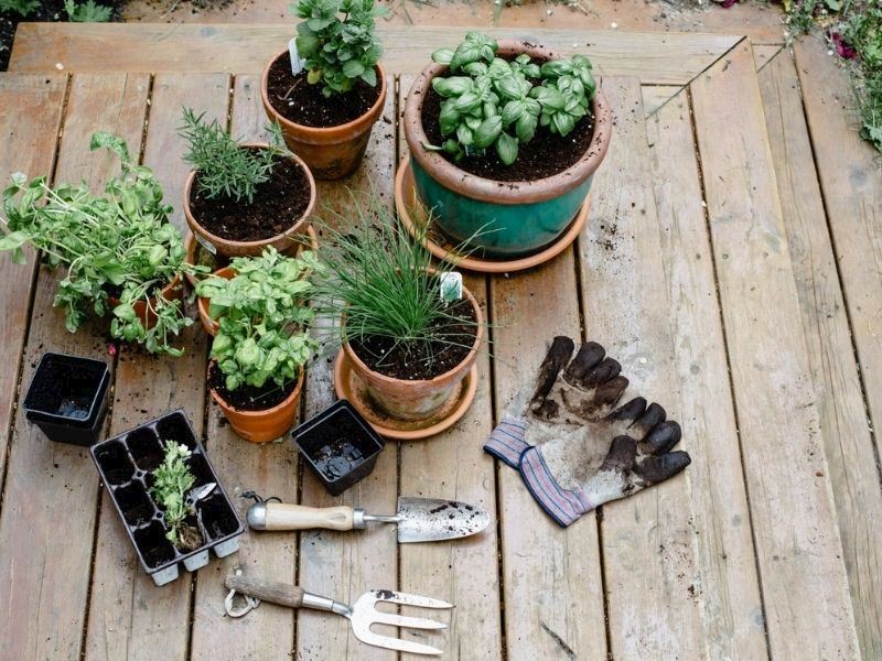 Hobi Balkon Bahçeciliğine Nasıl Başlanır?