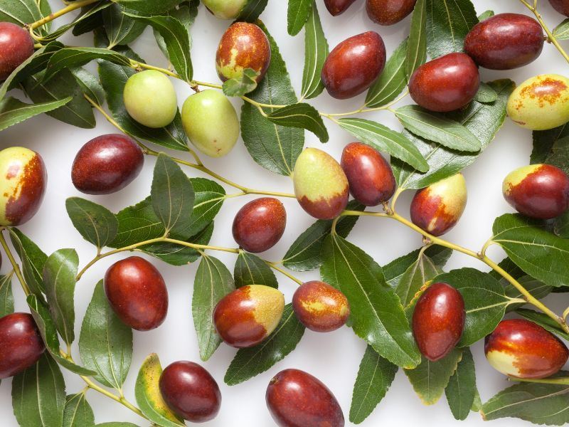 Hünnap Tüketmenin 5 Püf Noktası