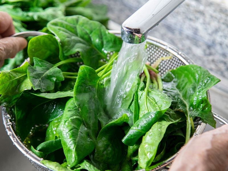 Ispanak Haşlamadan Nasıl Pişirilir?