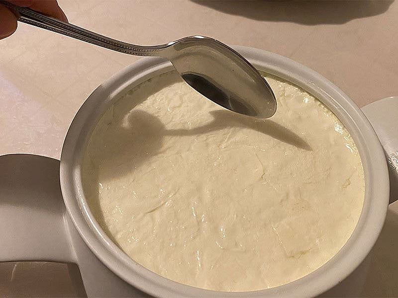 Jersey Süt İle Yoğurt Nasıl Yapılır?