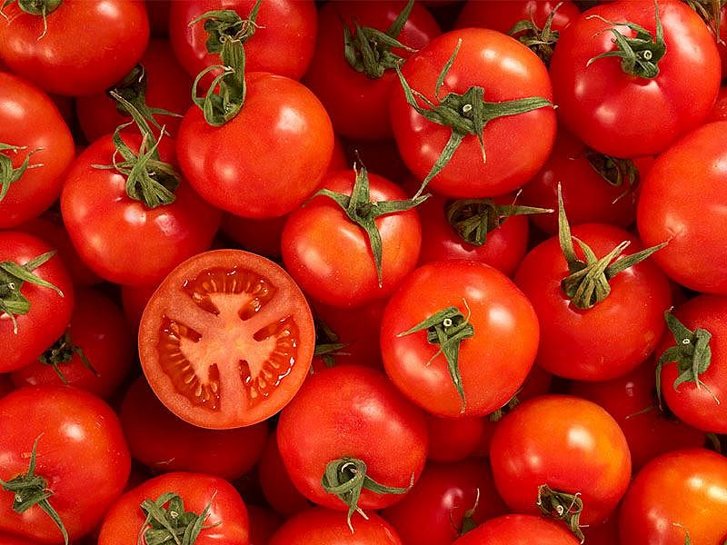 Kaç Kilo Domatesten 1 Kilo Domates Kurusu Çıkar?