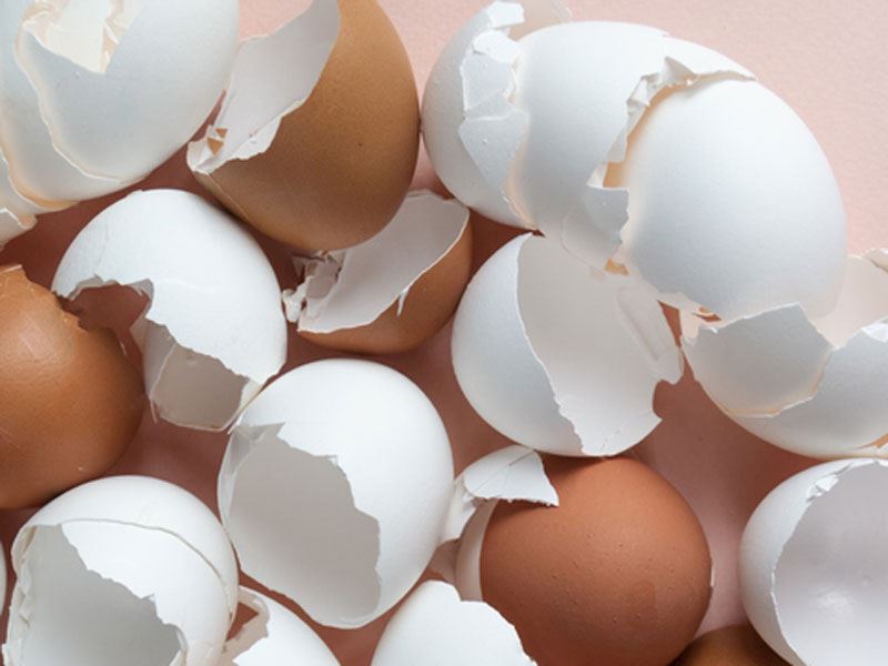 Kahverengi Yumurtalar ve Beyaz Yumurtalar: Aralarında Bir Fark Var mı?