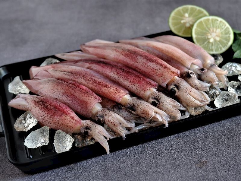 Kalamarın Diğer Adı Nedir?