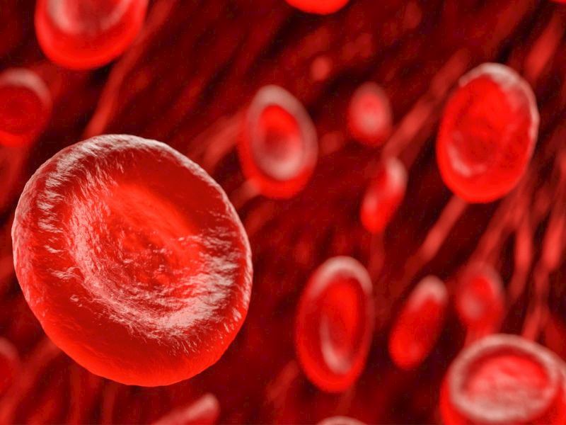 Kan Yapıcı Besinler: Kan Yapan 10 Süper Besin
