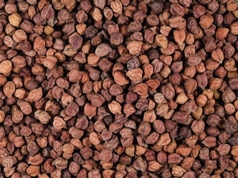 Kara Nohut Yumuşacık Nasıl Pişirilir? 