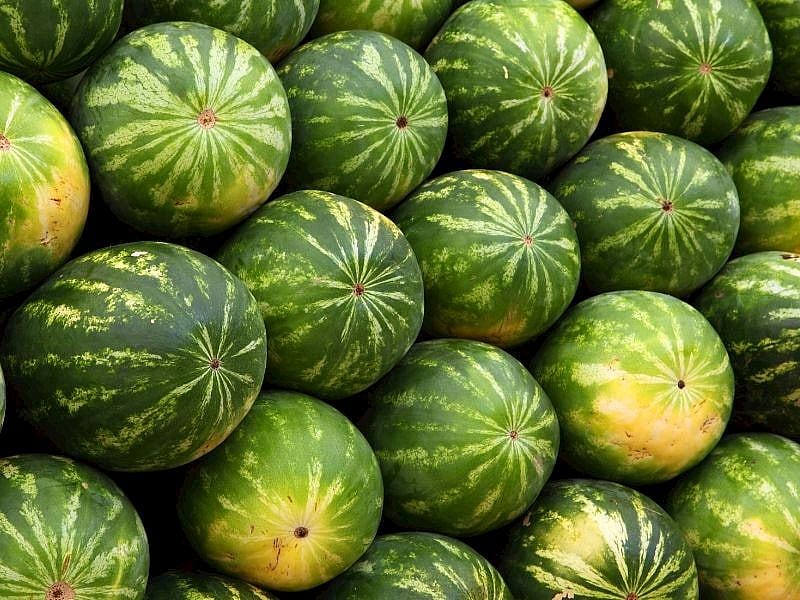 Karpuz Seçerken Kabuğunda Leke Görürseniz Sakın Almayın 