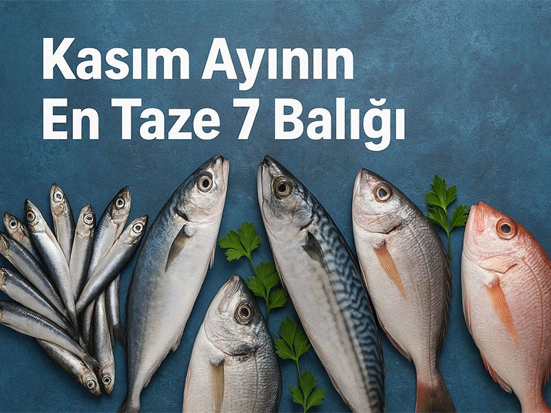 Kasım Ayının En Taze 7 Balığı