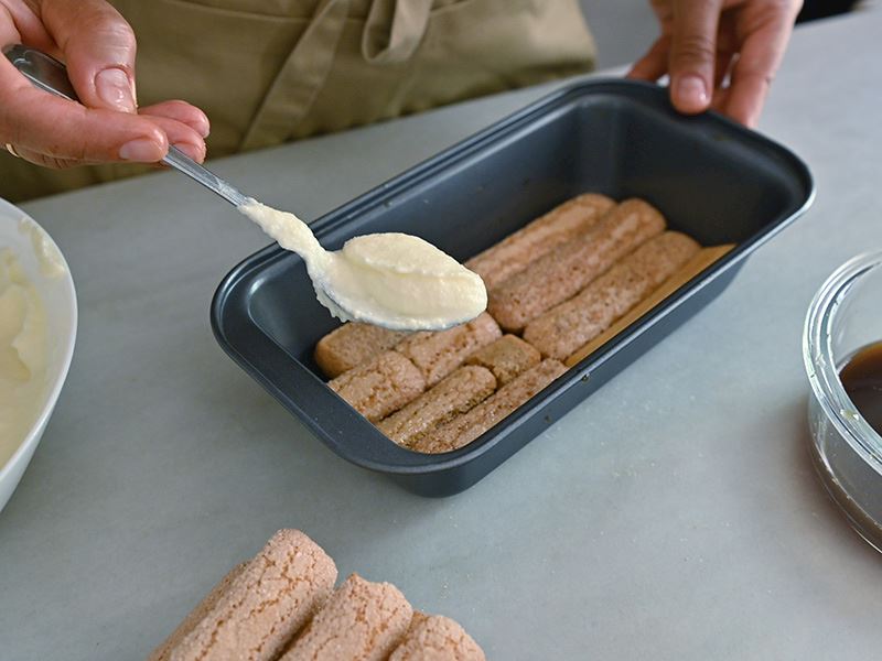 Kedi Dili Soğuk Sütle Mi Islatılır?