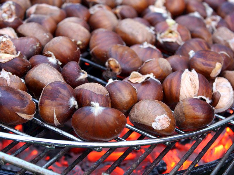 Kestane En Güzel Nasıl Pişirilir?