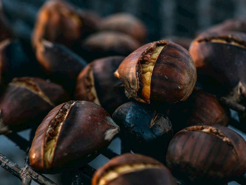 Kestane Pişirilmeden Buzlukta Saklanabilir Mi?