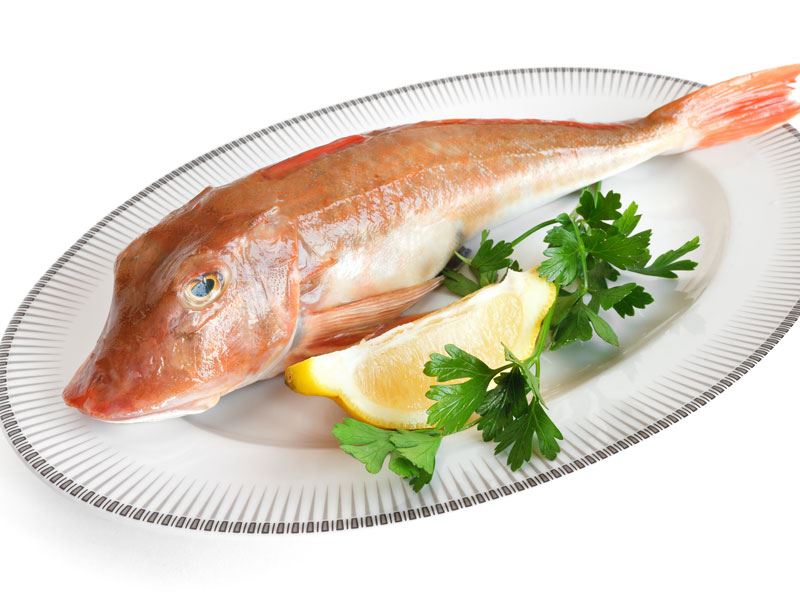 Kırlangıç Balığı Nedir? Nasıl Pişirilir?