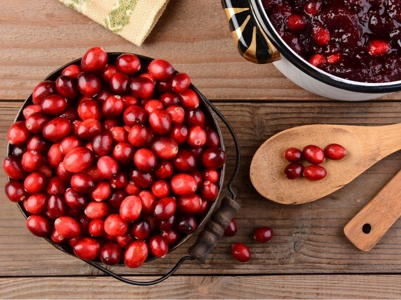 Kızılcıklar En Sağlıklı Nasıl Tüketilir?