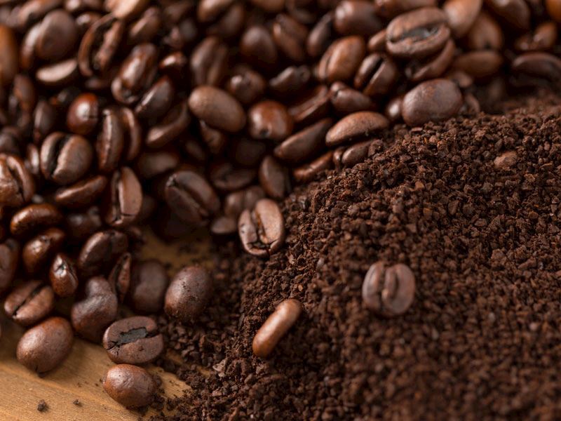 Kullanılmış Kahve Telvesi İle Neler Yapılabilir?