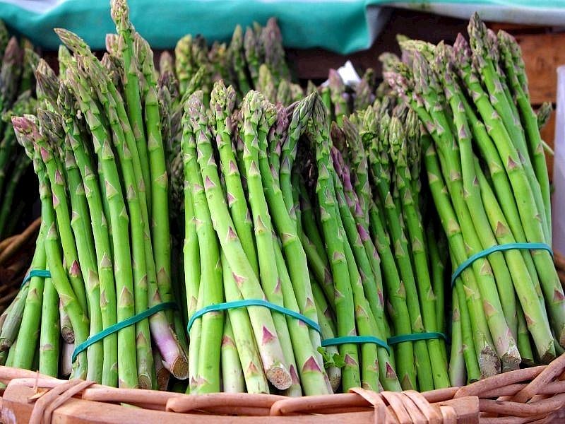 Kuşkonmaz Haşlanır Mı?