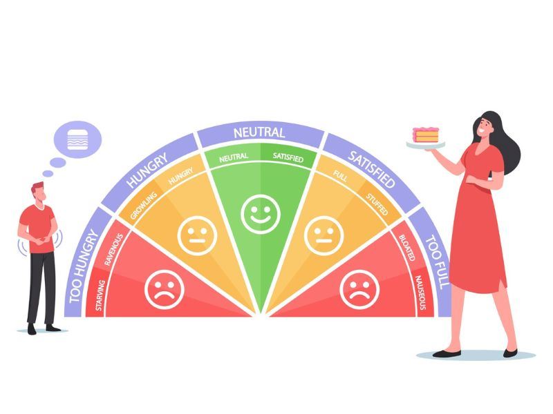 Leptin Diyeti Nedir, Nasıl Uygulanır?