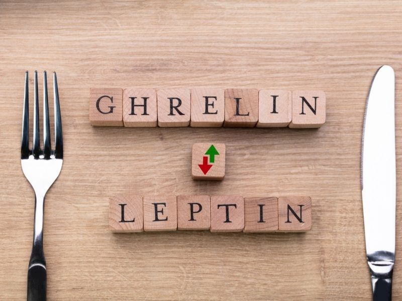Leptin Hormonunu Çalıştırmanın 8 Kolay Yolu