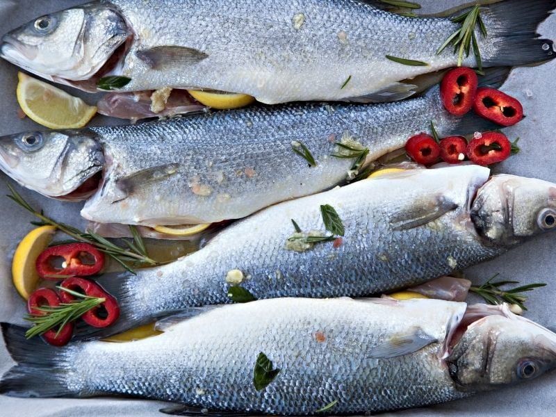 Levrek Balığı Hangi Aylarda Yenir?