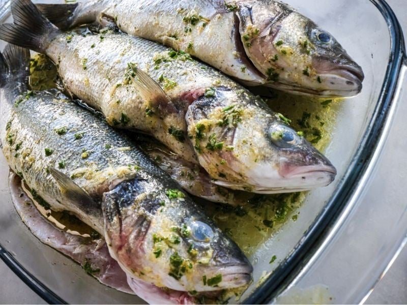 Levrek Balığı Nasıl Terbiye Edilir? 