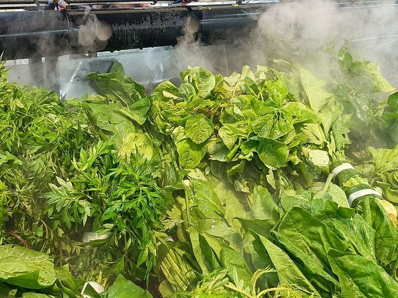 Manav Reyonlarında Neden Yeşilliklere Su Püskürtülür?