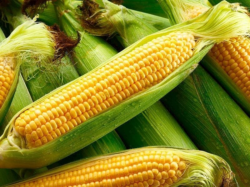 Mısır Düdüklüde Kaç Dakikada Haşlanır? 