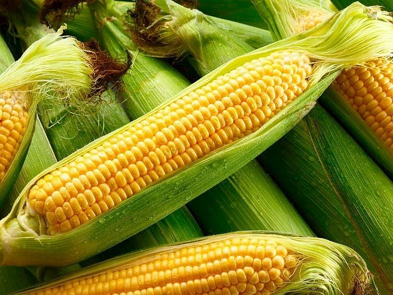 Mısırı Dondurucuda Saklamanın 3 Farklı Yolu