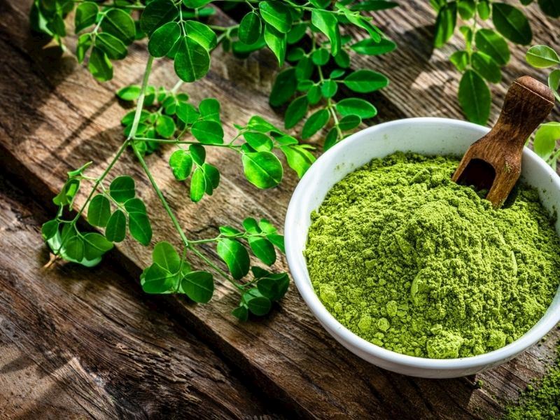 Moringa Bitkisinin Faydaları Nelerdir, Nasıl Kullanılır?