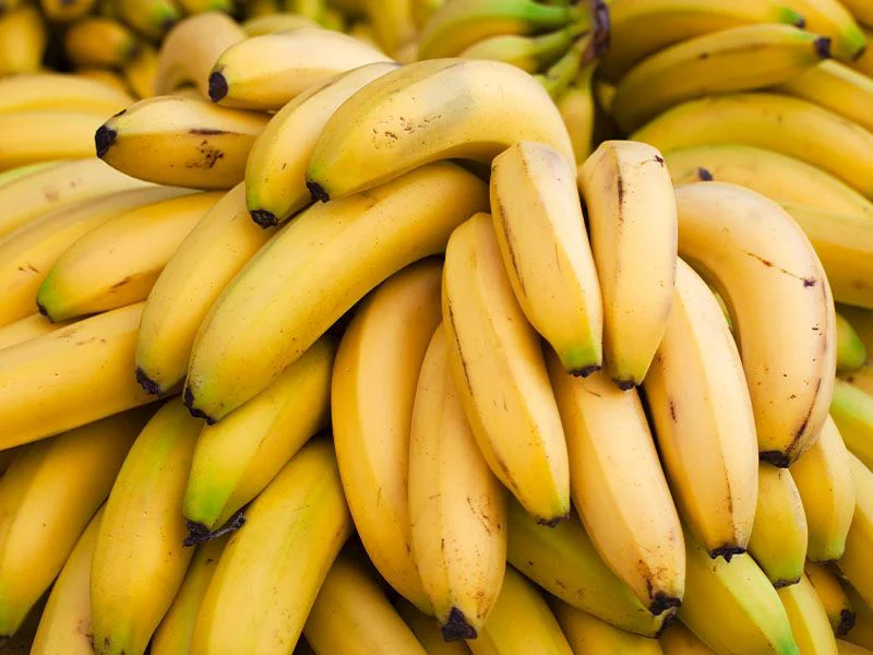 Muz Nasıl Olgunlaştırılır?