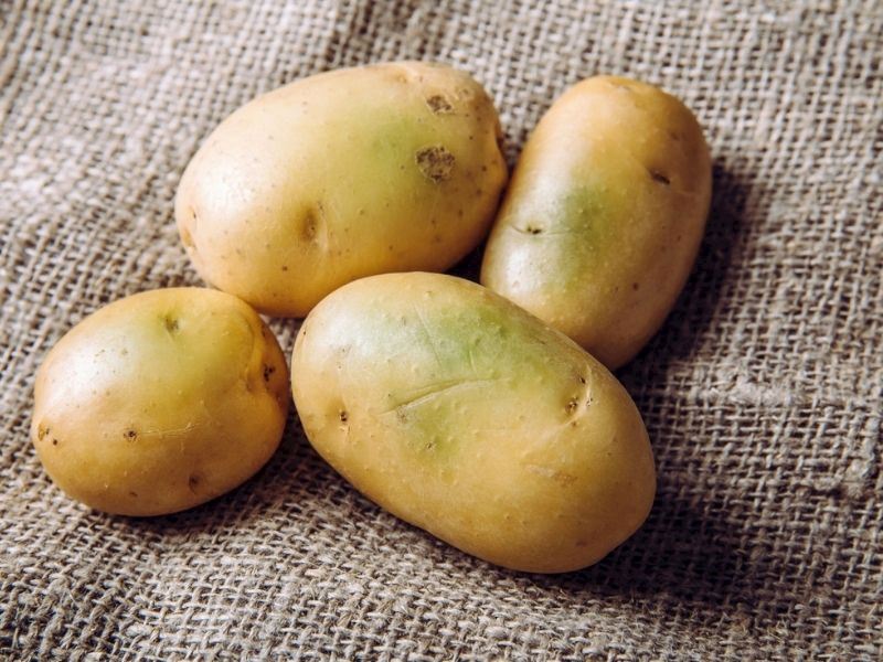 Neden Yeşillenmiş Patatesleri Yememeliyiz?