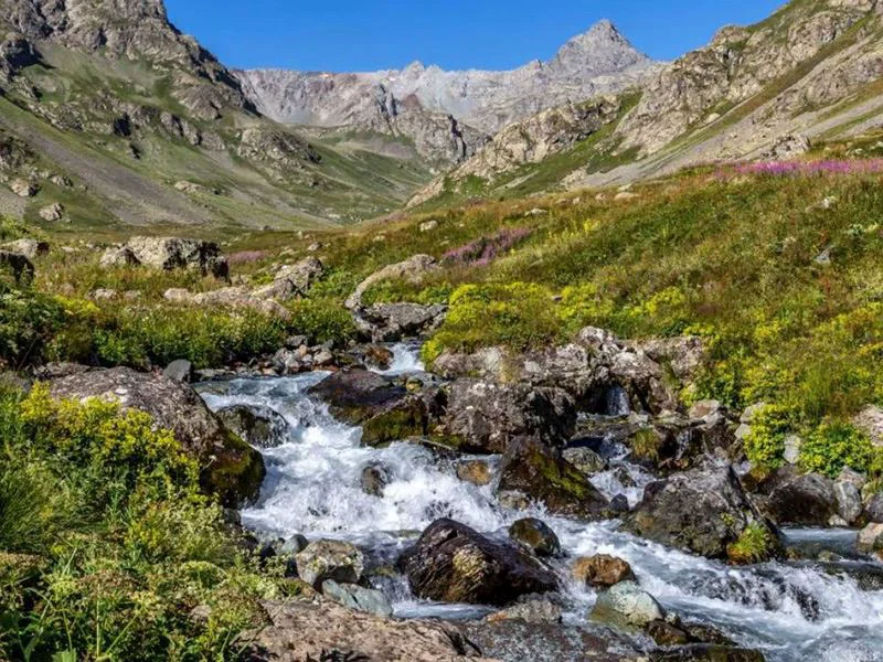 Orduları Devirdi, Filmlere Konu Oldu: Dünyada 2 Yerde Üretiliyor, Biri Türkiye