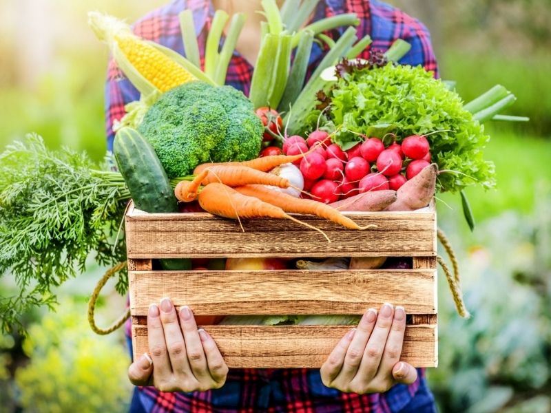 Organik Gıda Nedir?