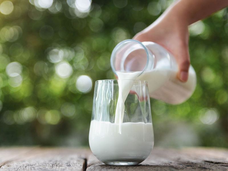 Organik ve Normal Süt: Farkları Nedir?