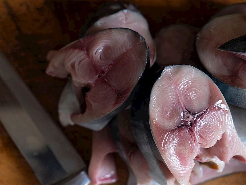 Palamutun Lezzetini Bozan Buzluk Hatası