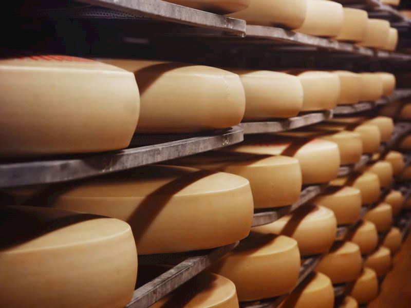 Parmesan Peyniri Yerine Ne Kullanılır: 5 Farklı İkame