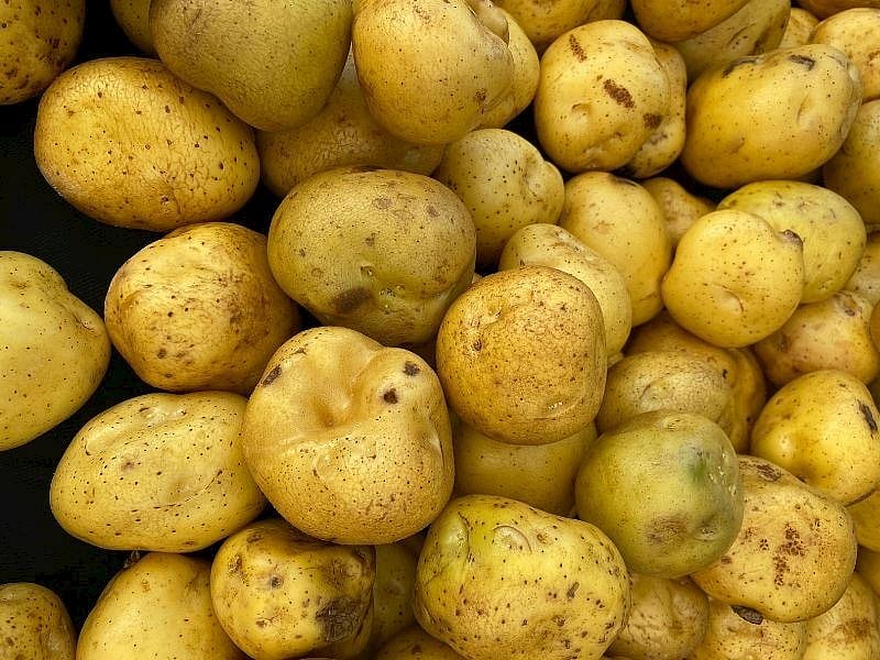 Patates Üzerinde Bunu Görürseniz Sakın Tüketmeyin