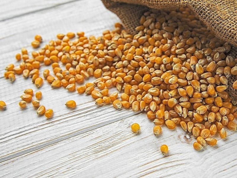 Patlatma Mısırı Haşlanır Mı?