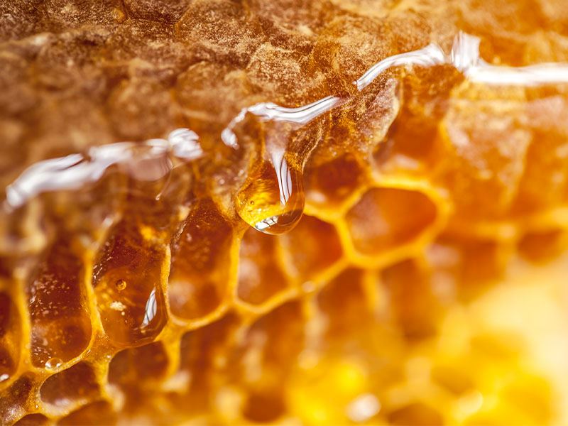 Petek Bal Nasıl Saklanır?