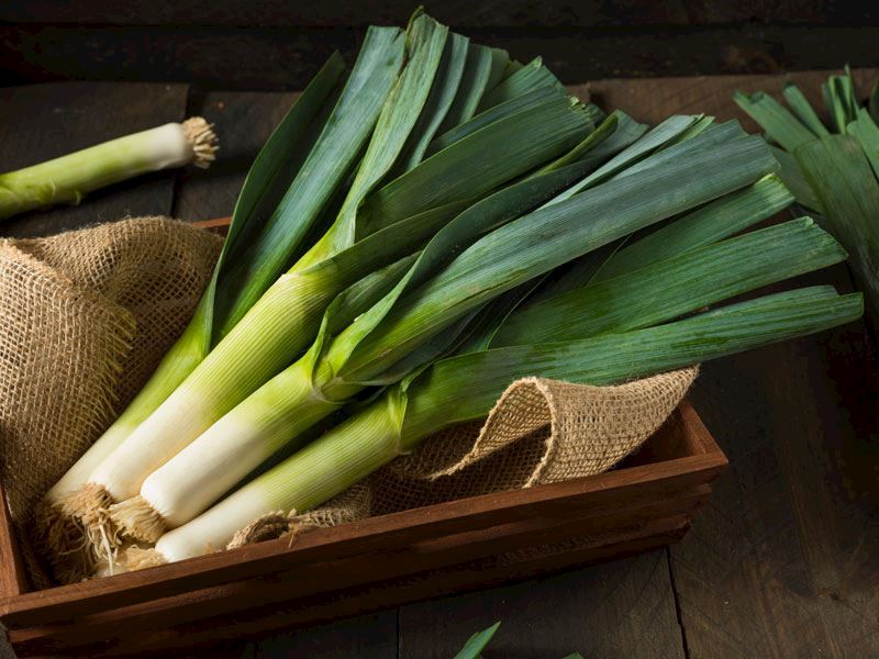 Pırasa Derin Dondurucuda Nasıl Saklanır?