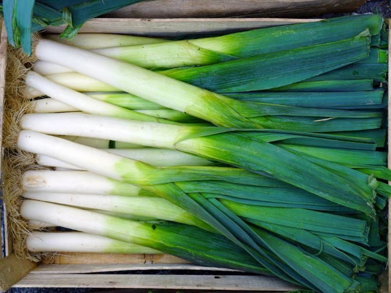 Pırasanın Bozulduğu Nasıl Anlaşılır?