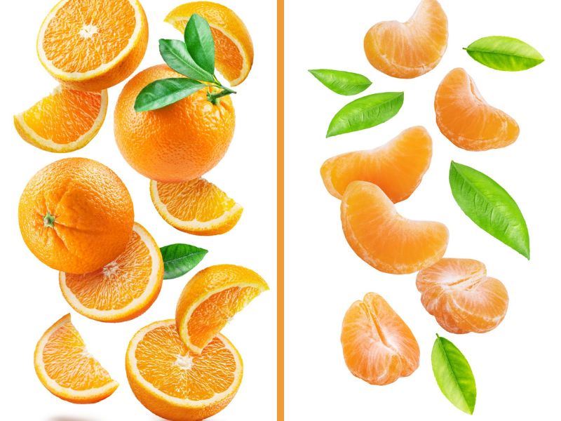 Portakal ve Mandalinanın Farkları Nelerdir?