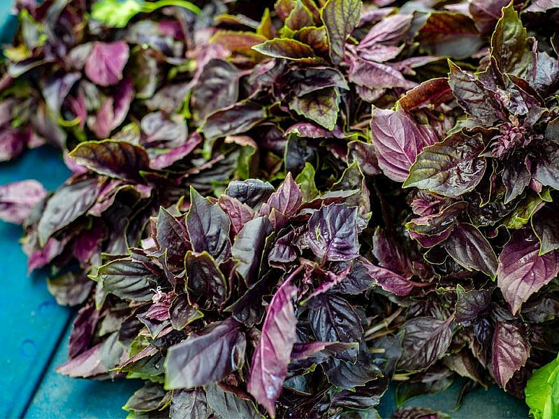 Reyhan Yemeklerde Nasıl Kullanılır?