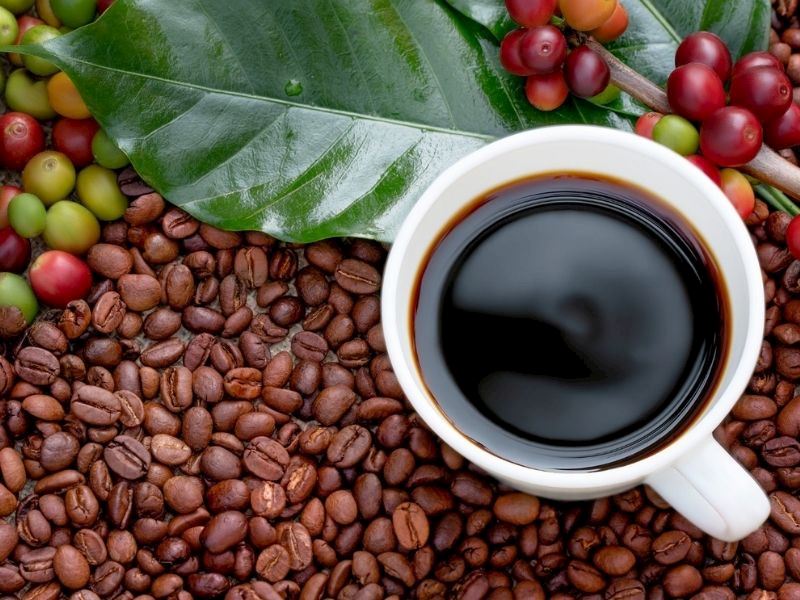 Robusta Kahve Nedir, Nasıl Yapılır?
