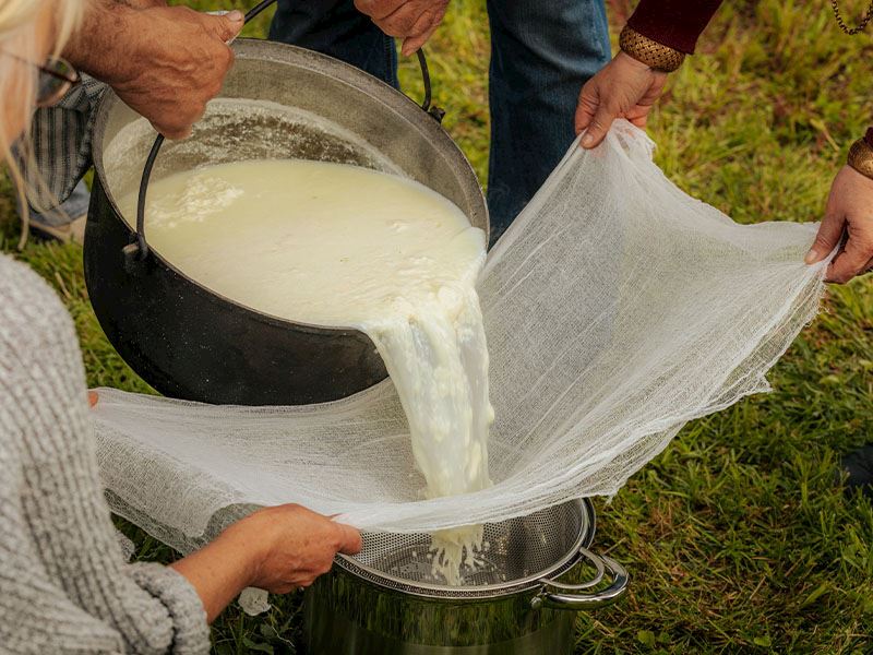 25 Dakikada Evde Peynir Yapmanın 6 Püf Noktası