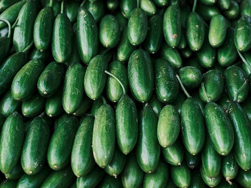 Salatalık Alırken Poşete Koymadan Önce İki Kez Düşünün